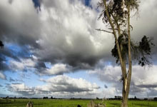 ACAMIS 2025：国际学校游泳盛宴，青春泳姿闪耀赛场.