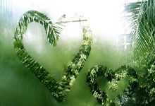 2025年斯诺克德国大师赛：张安达 周跃龙携手晋级.