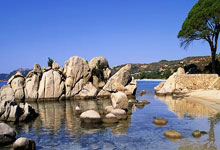 奇异果体育：[澳网]状态火热 阿尔卡拉斯击败西冈良仁.